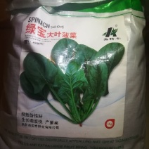 波菜籽