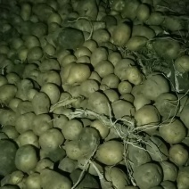 土豆小土豆淀粉豆
