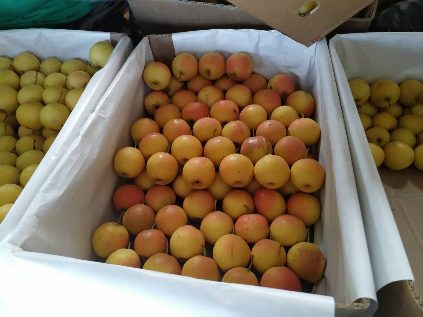 南果梨果篮展示