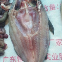 巴沙鱼