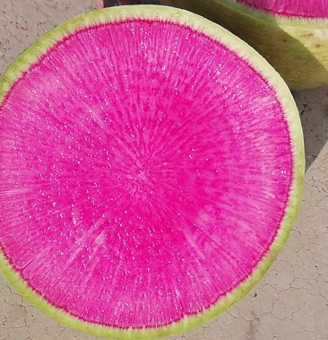 满堂红萝卜心红皮绿口感脆甜