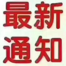 供应鲜品蜂皇浆