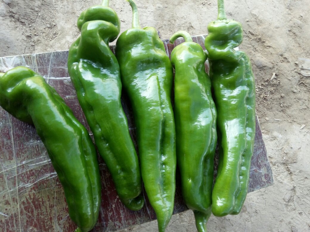 辣萝卜煮水的制作过程