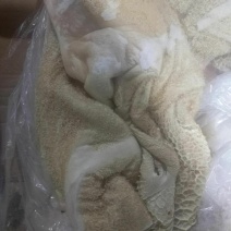 牛肚