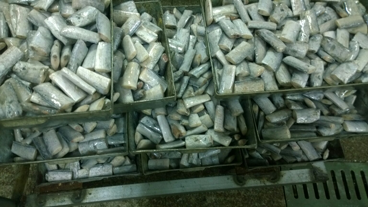 现代化水产养殖园区中的带鱼养殖池,技术人员正在监测水质 带鱼养殖池