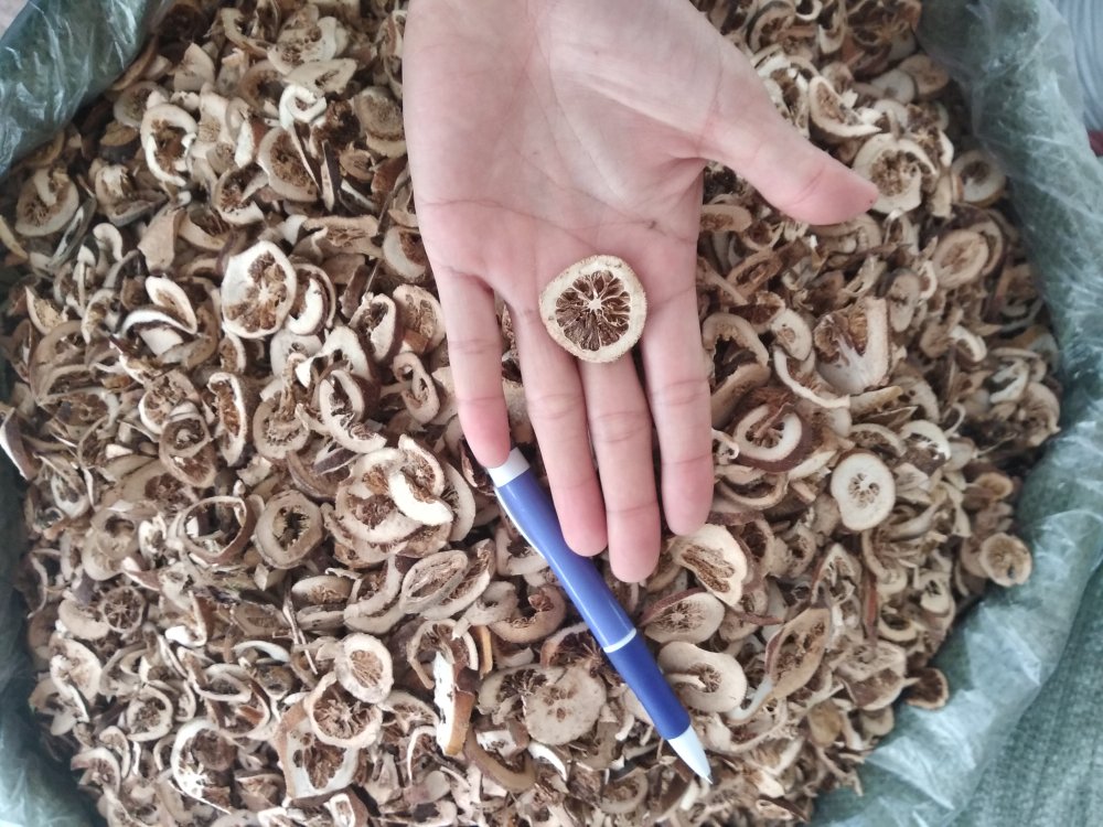 中药饮片级栗壳炭实物图：深黑色颗粒状炭药，粒径2–4mm，质地疏松易碎，表面呈蜂窝状微孔结构，置于标准中药饮片铝箔袋中，袋面印有“栗壳炭”“炮制：炒炭存性”“执行标准：《中国药典》2020年版一部”等字样