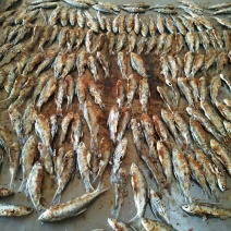 正宗浏阳火焙鱼，味道好，价格美丽