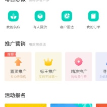 鹅苗
