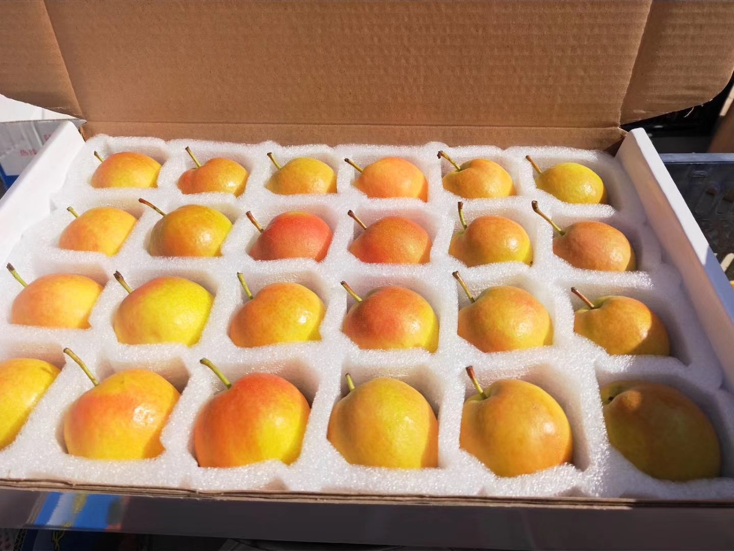 有机南果梨礼盒精美包装,适合节日送礼 有机南果梨礼盒展示