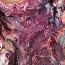 驴肉