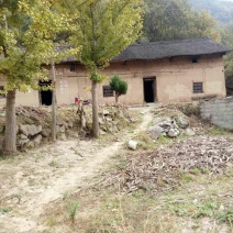 种植，养殖山地出租