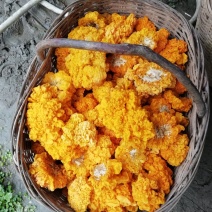 金耳(鲜货)