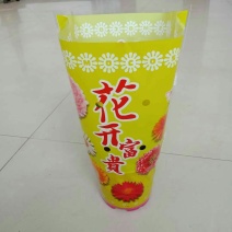 套袋