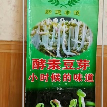 芽苗菜的新思路酵素环保养生保健豆芽菜