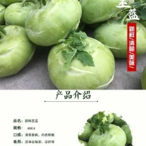 天津特产优质蔬菜新鲜脆嫩苤茢苤蓝土苤茄莲球茎甘蓝