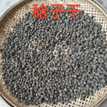 稔子干产地直销品质保证价格优惠欢迎选购