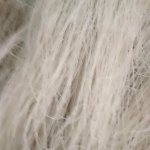 纯手工红薯粉丝