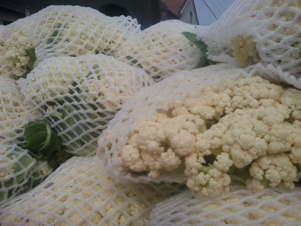 拼图式构图:左上为拌菜盖在褐色糙米饭上的特写;右上为松花菜与黄瓜丝、胡萝卜丝一同卷入半透明全麦卷饼的横截面;左下为拌菜铺于荞麦冷面上,汤面微漾;右下为宴客长桌一角,青瓷盘中盛放拌菜,旁配竹筷与柠檬角——展现家庭、办公、宴请全场景 松花菜拌菜多场景应用示意图