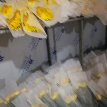 扶郎七块五，黄菊花十支八块