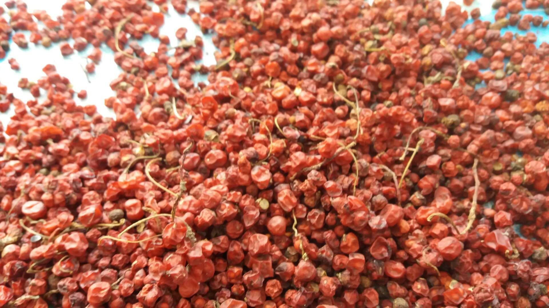 五味子搭配食材示意图