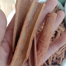 桂皮