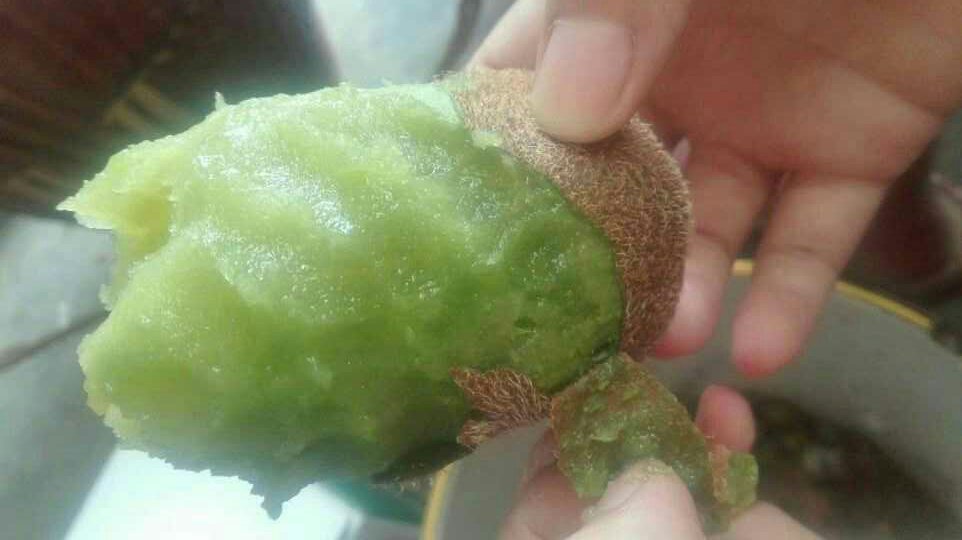 绿心猕猴桃果实特写