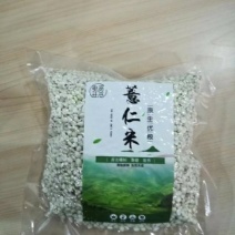 薏米薏仁糯薏米