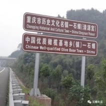 优质橄榄