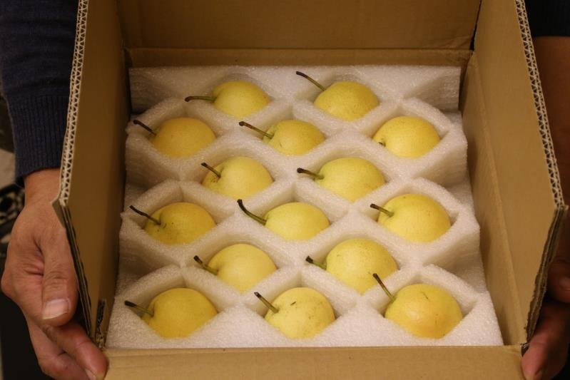 南果梨冷藏保存示意图