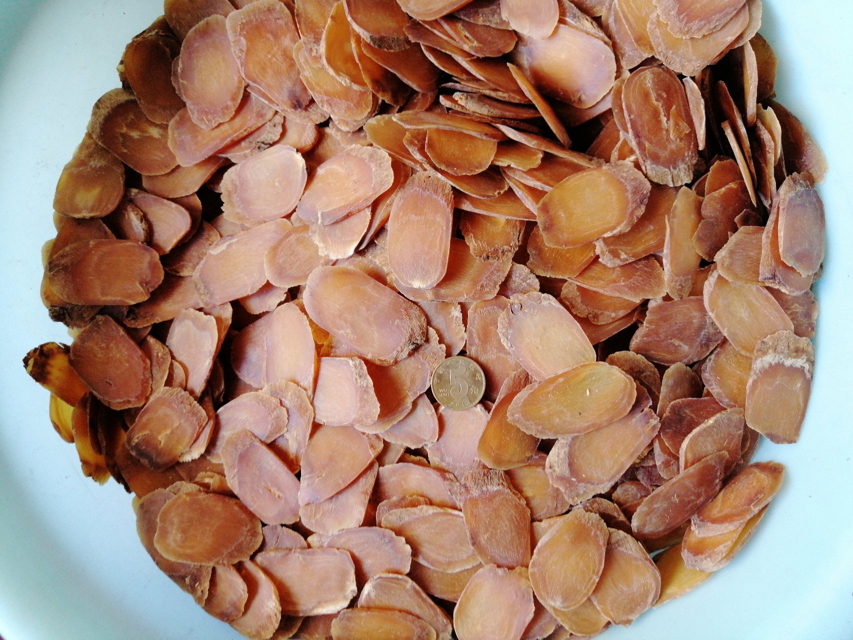 科学插画风格的红参横切面显微图,显示导管束、树脂道分布及细胞结构,标注人参皂苷晶体位置,背景为浅灰色实验室风格,用于说明大支红参组织致密、有效成分富集的科学依据 红参切片显微结构示意图