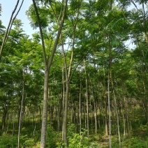 其它