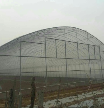花梁骨架温室大棚拱棚