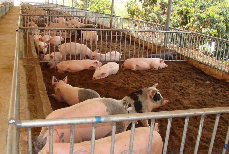 水温监测设备展示