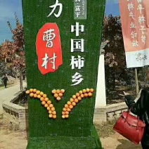 富平优质柿饼，开始预订中