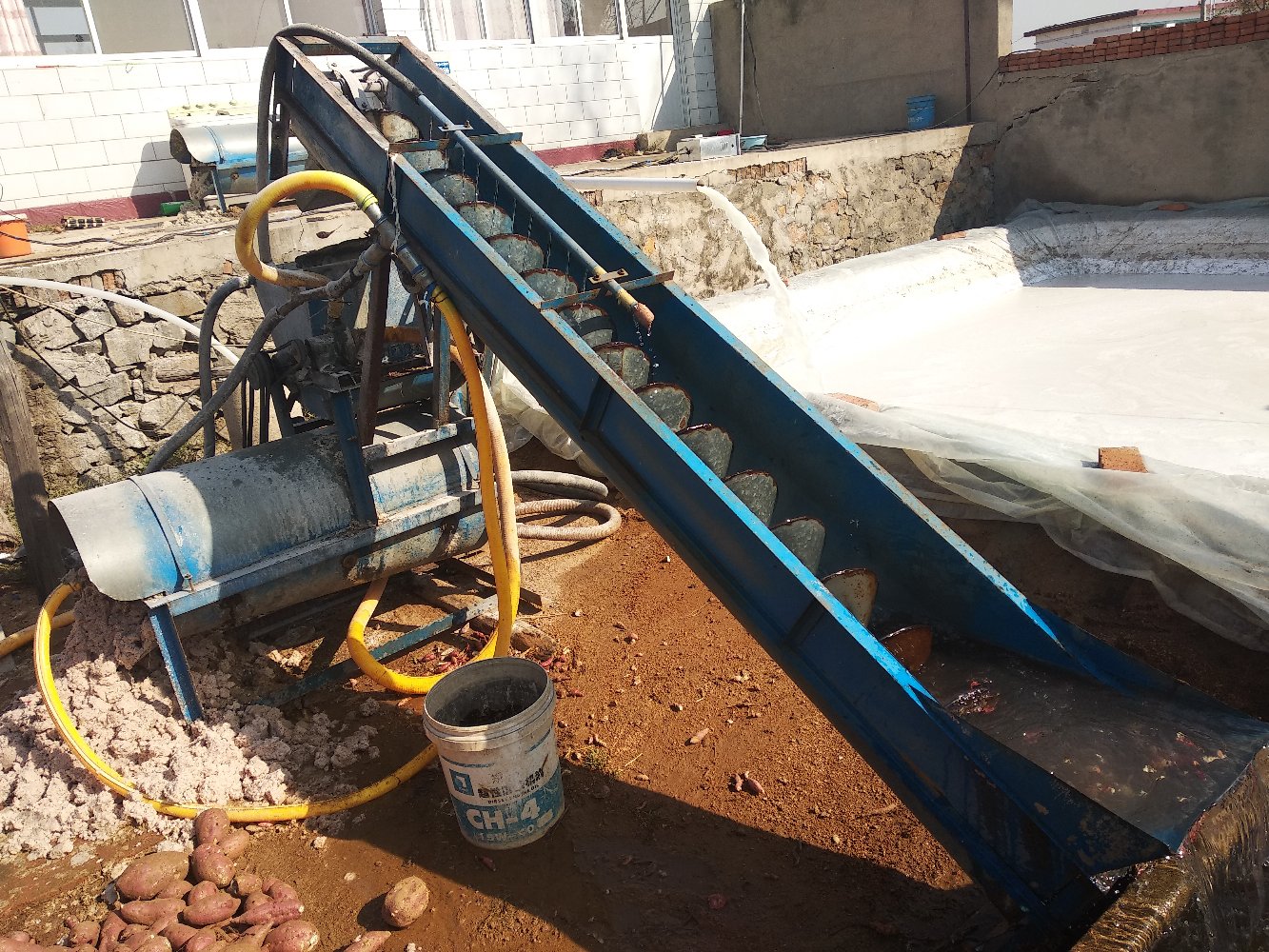 济薯25在现代化淀粉加工线上进行清洗、粉碎和分离 济薯25在淀粉加工厂的加工流程