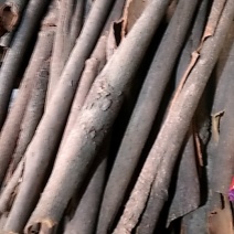 桂皮