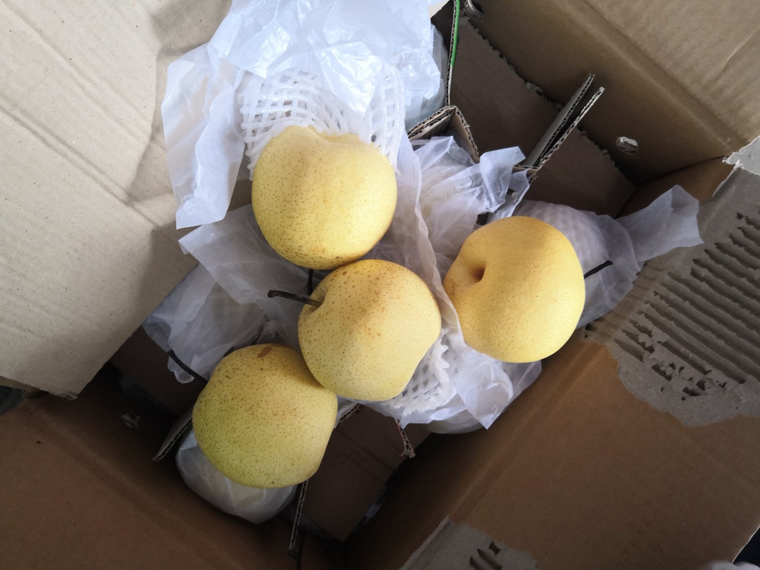 香梨在纸箱中用纸张分隔保存