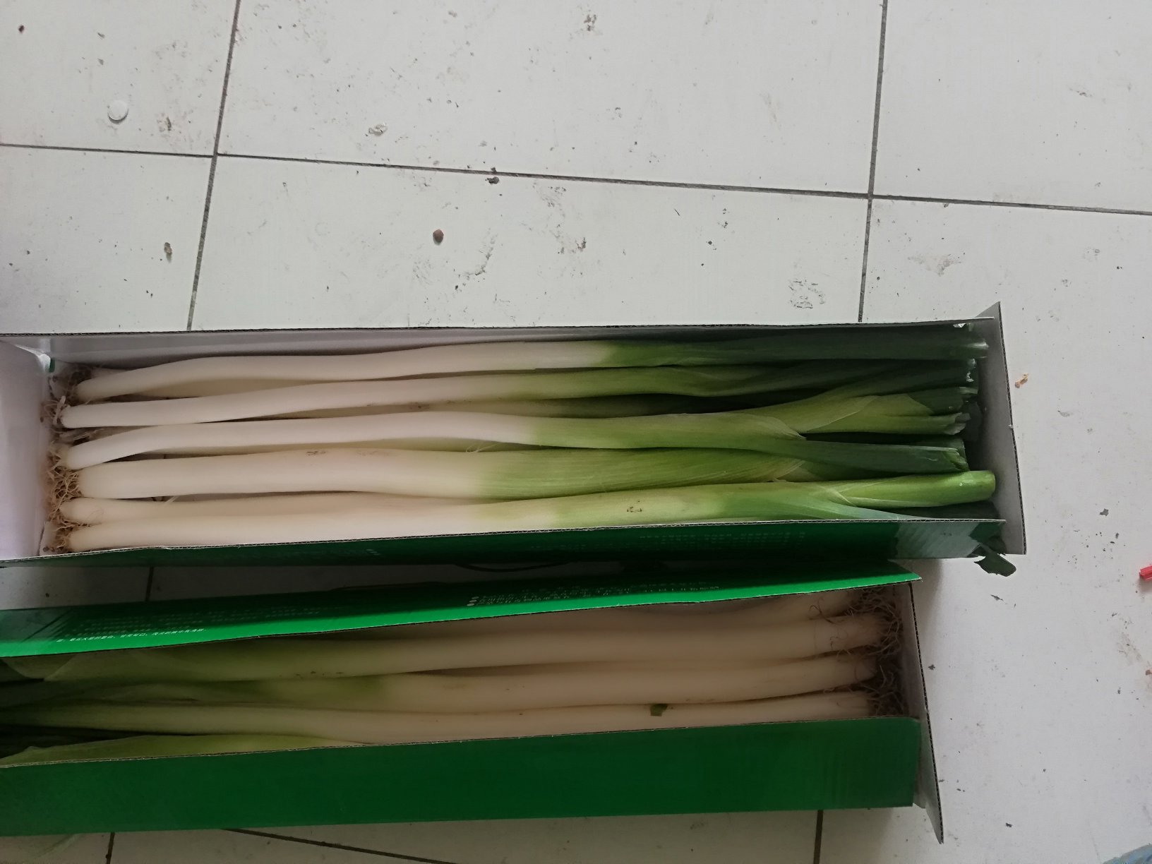 章丘大葱凉拌成品图