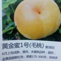 桃苗，黄金密1号，西梅(法兰西)，李子，梨苗，楸树，梓树