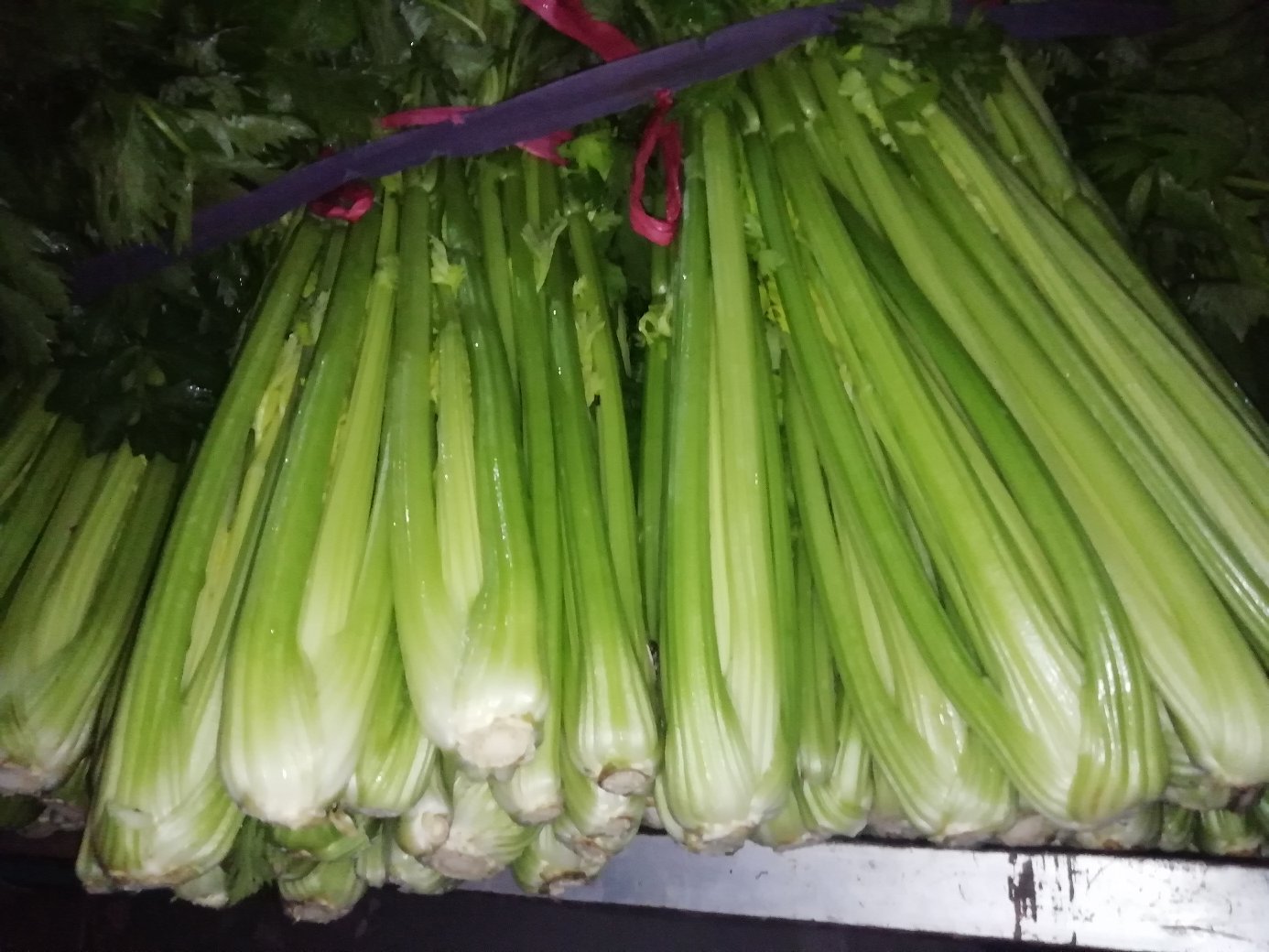 山芹与芹菜对比图