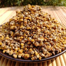 野菊花黄菊花茶纯野生小朵苦菊去火降火烘烤晒干散装