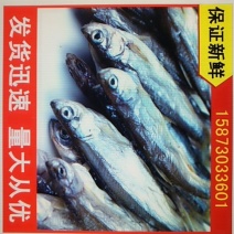 阳干刁子鱼洞庭湖特产湘菜特色原汁原味野生小刁子鱼