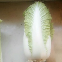 蔬菜