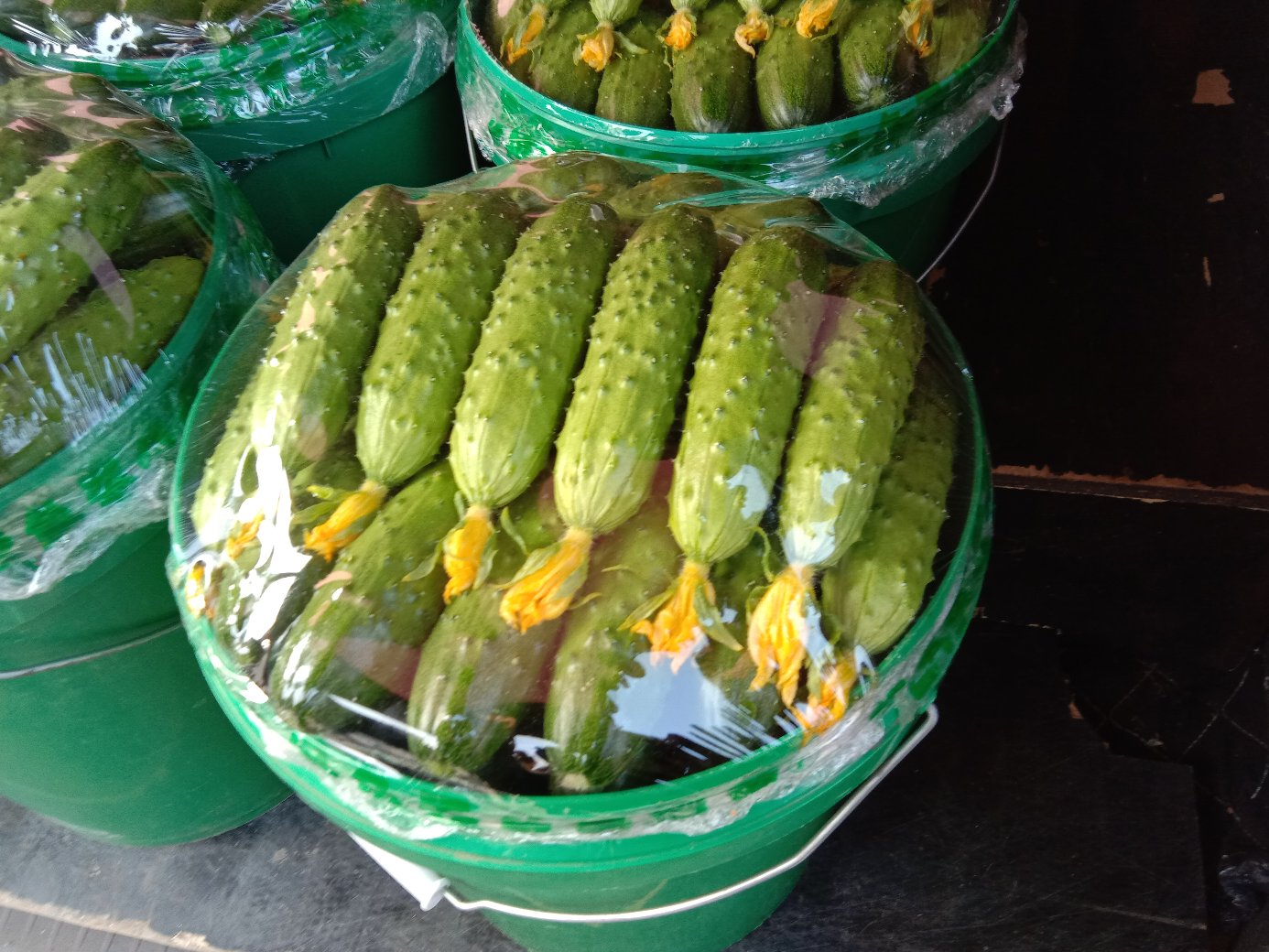 包装精美的即食酸黄瓜产品展示