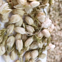 茉莉花茶批发各种规格中药材，花茶