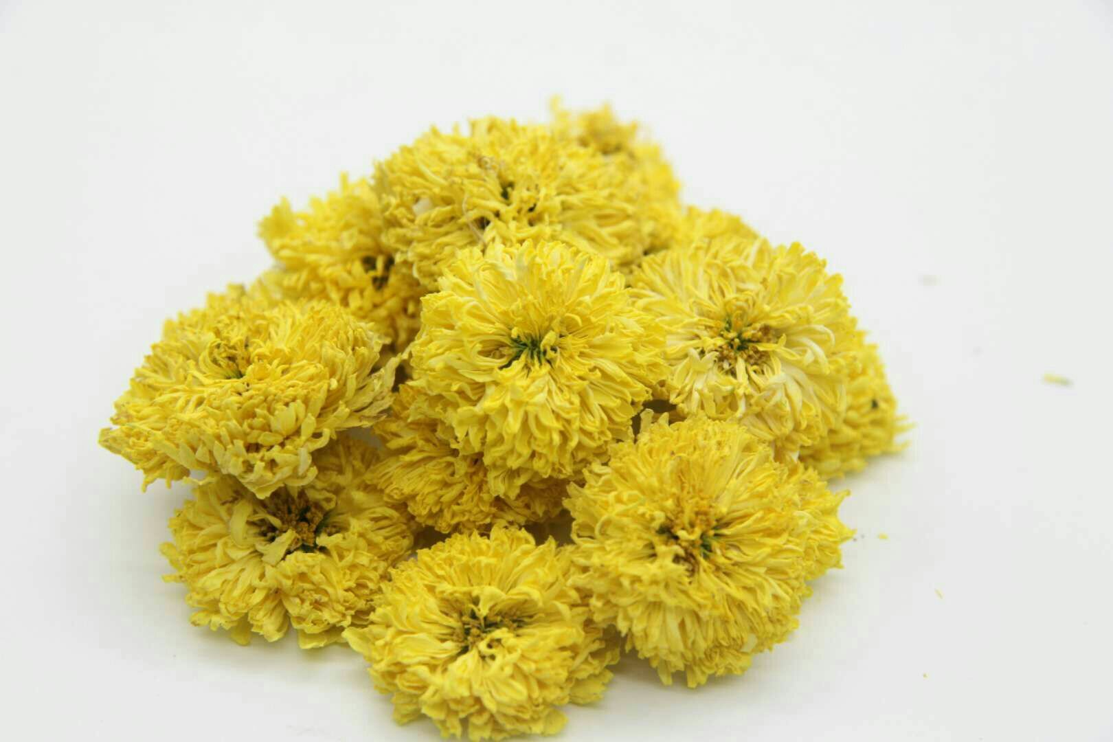 金丝皇菊与金银花搭配冲泡图