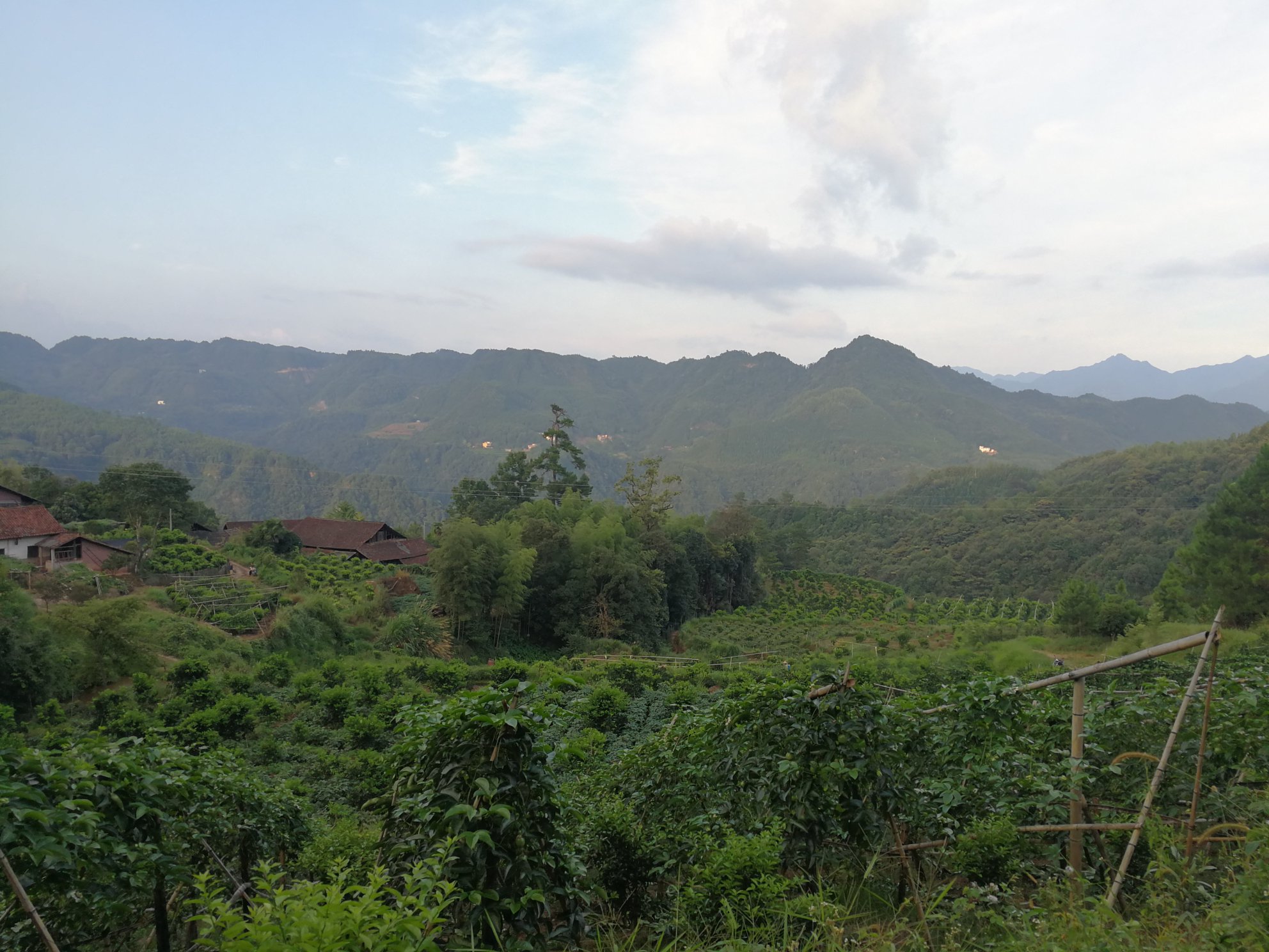 锥栗林秋季景观图