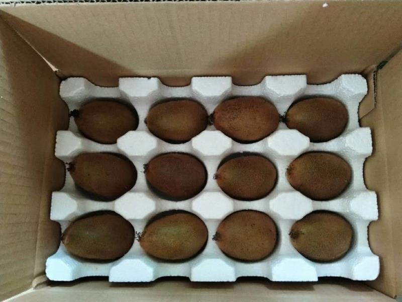 猕猴桃饮制作原料展示