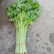 芹菜，茼蒿等