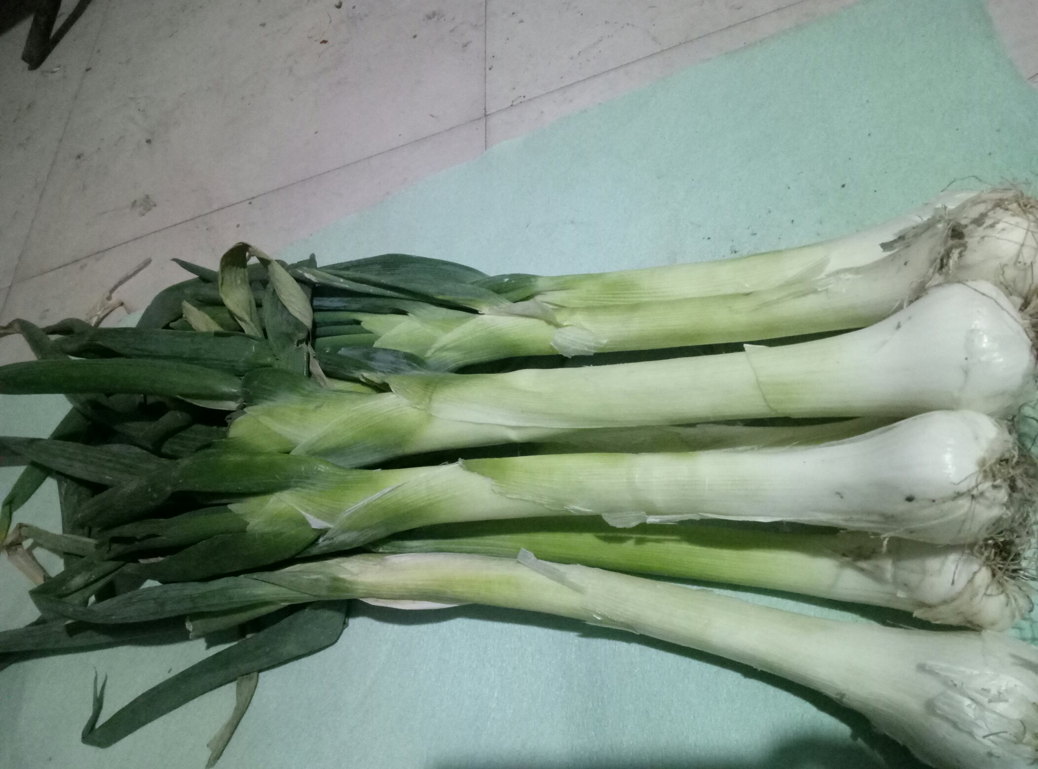 成品大葱烧鸡腿